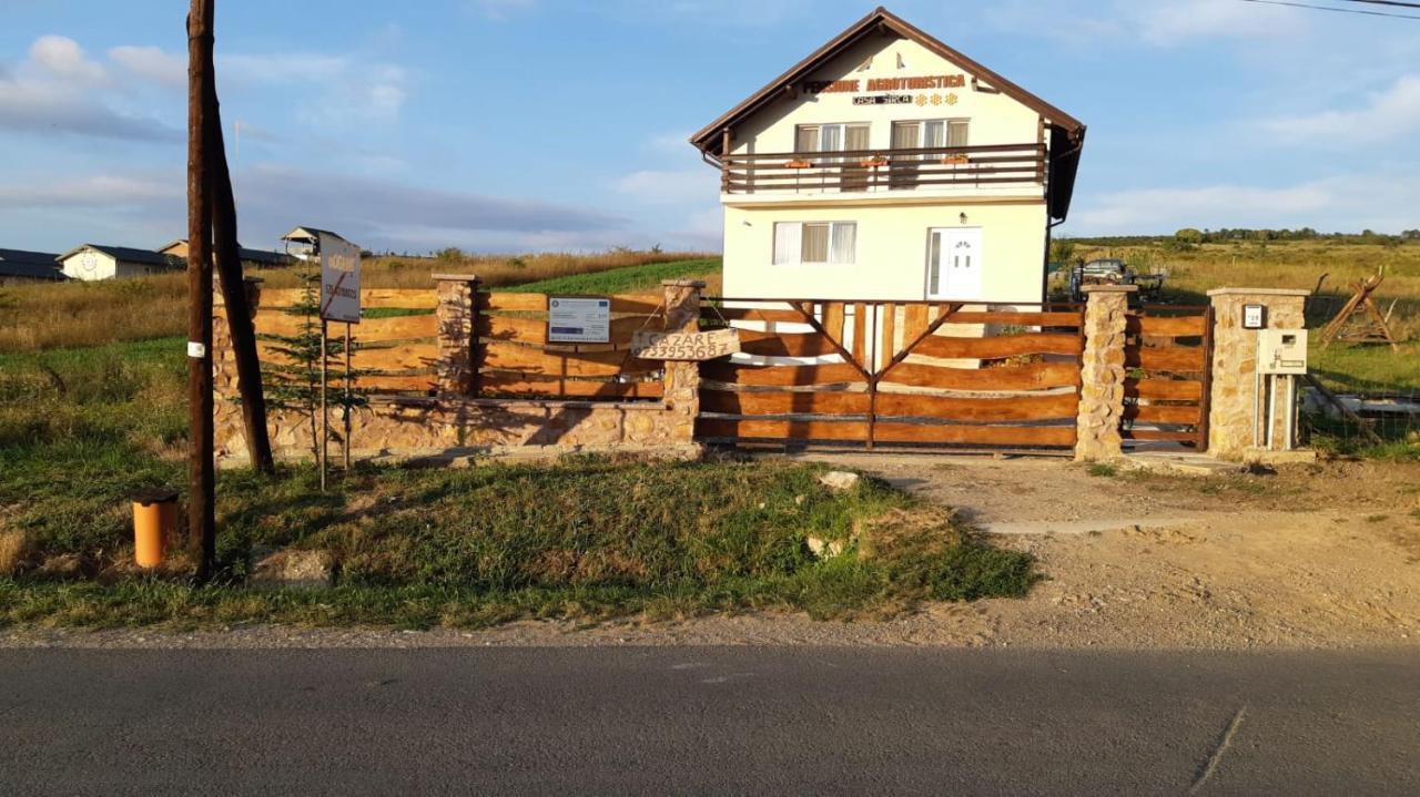 Pensiunea Agroturistica Casa Sirca Boghiş Buitenkant foto