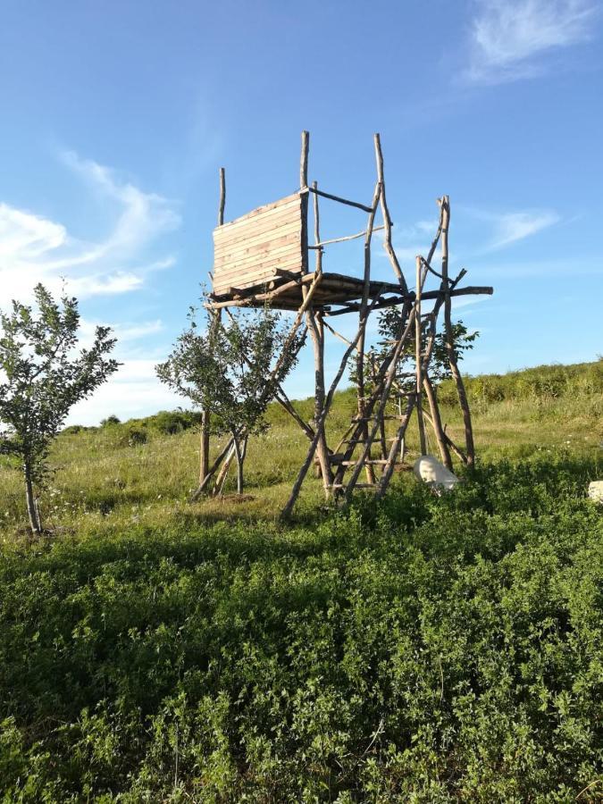 Pensiunea Agroturistica Casa Sirca Boghiş Buitenkant foto
