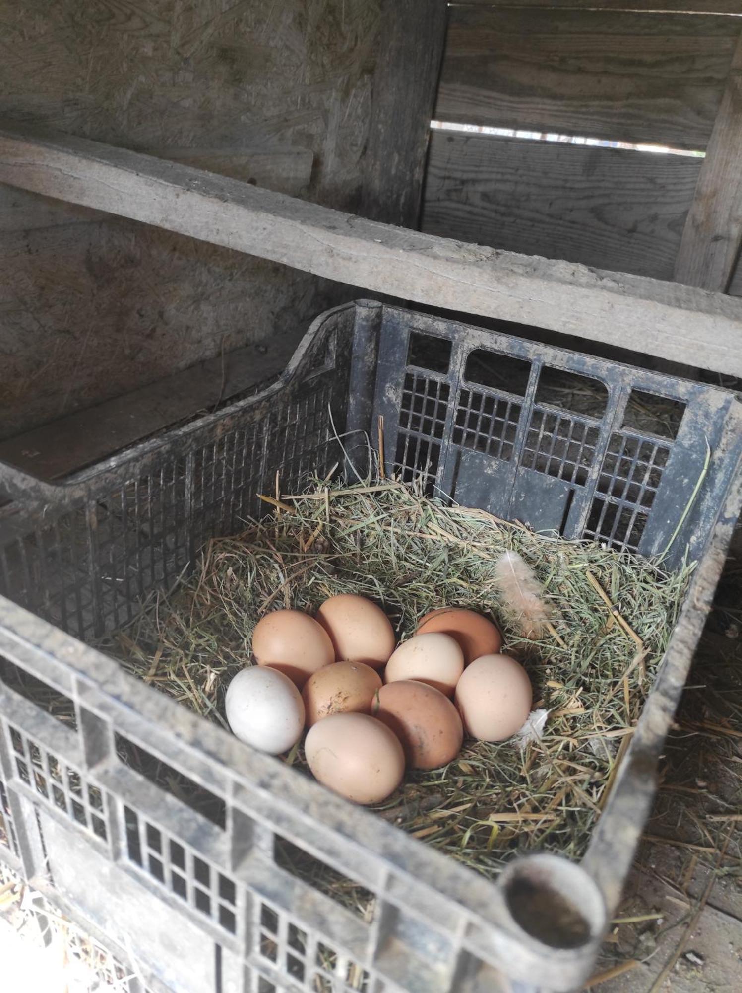 Pensiunea Agroturistica Casa Sirca Boghiş Buitenkant foto